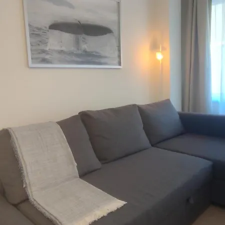 Apartment Ariminum - Minimalism And Class In The Historic Center *